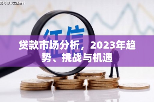 民和贷款市场分析，2023年趋势、挑战与机遇