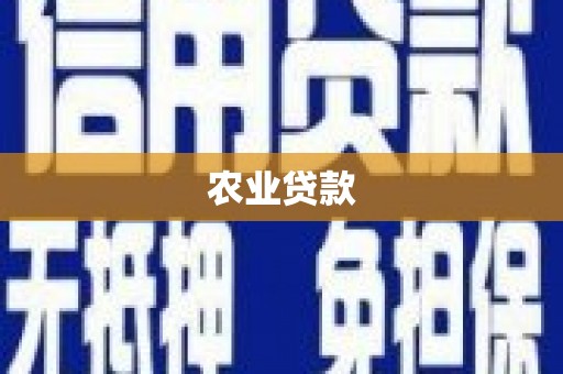民和农业贷款
