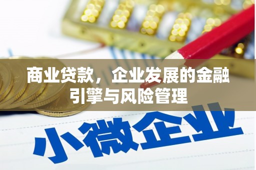 民和商业贷款，企业发展的金融引擎与风险管理