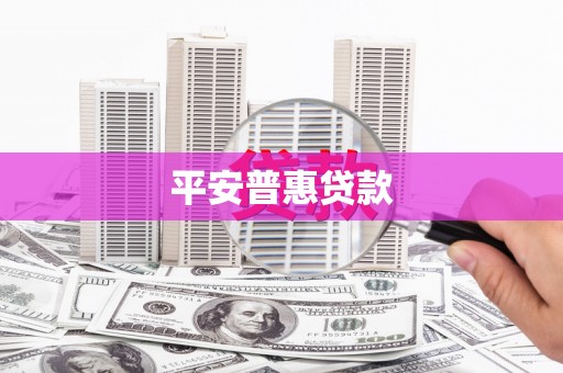 民和平安普惠贷款