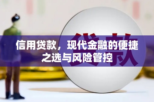 民和信用贷款，现代金融的便捷之选与风险管控