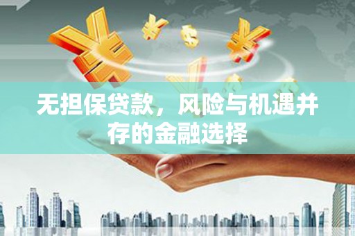 民和无担保贷款，风险与机遇并存的金融选择