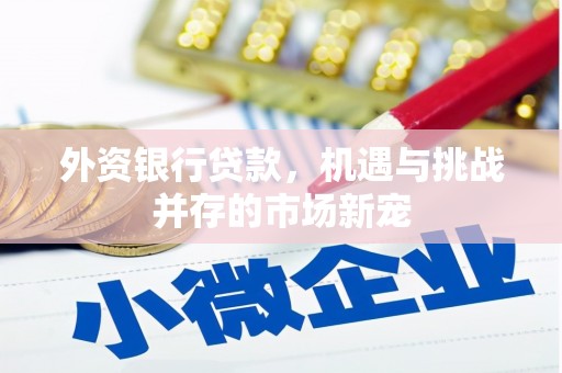 民和外资银行贷款，机遇与挑战并存的市场新宠