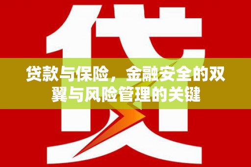 民和贷款与保险，金融安全的双翼与风险管理的关键