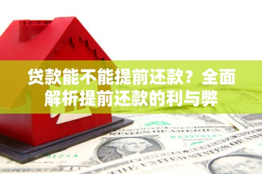 民和贷款能不能提前还款？全面解析提前还款的利与弊