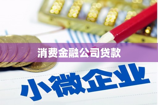 民和消费金融公司贷款