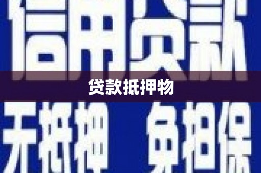 民和贷款抵押物