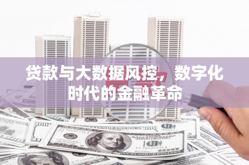 民和贷款与大数据风控，数字化时代的金融革命