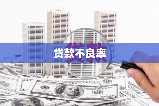 民和贷款不良率