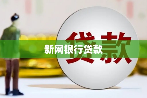 民和新网银行贷款