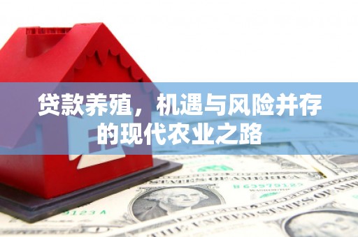 民和贷款养殖，机遇与风险并存的现代农业之路