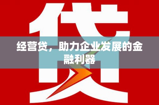 民和经营贷，助力企业发展的金融利器