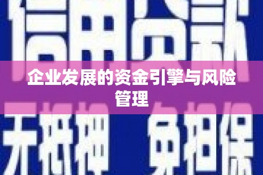 民和企业发展的资金引擎与风险管理
