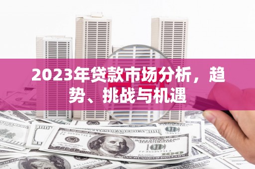 民和2023年贷款市场分析，趋势、挑战与机遇