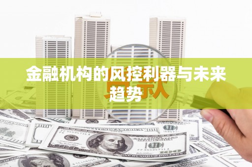 民和金融机构的风控利器与未来趋势