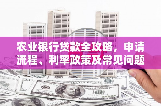 民和农业银行贷款全攻略，申请流程、利率政策及常见问题解析