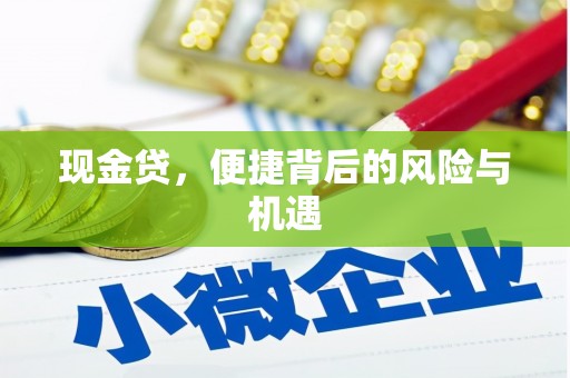 民和现金贷，便捷背后的风险与机遇