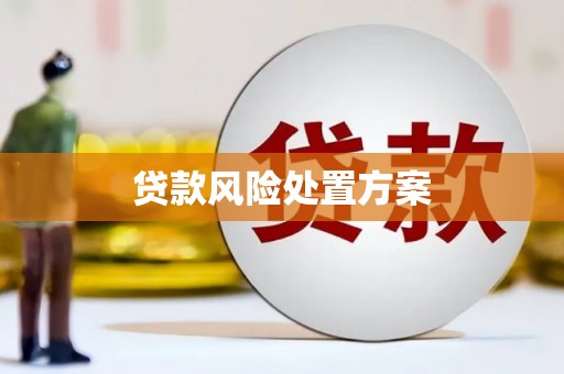 民和贷款风险处置方案