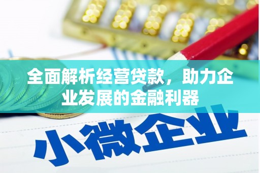 民和全面解析经营贷款，助力企业发展的金融利器