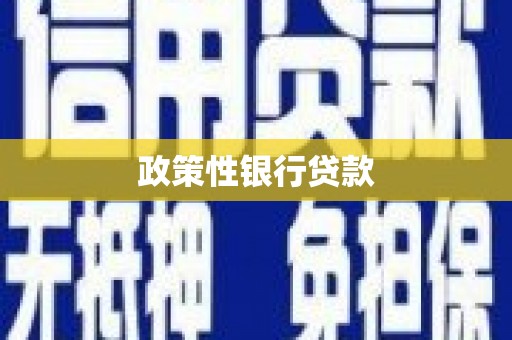 民和政策性银行贷款