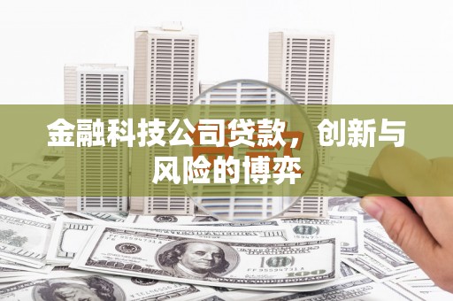 民和金融科技公司贷款，创新与风险的博弈