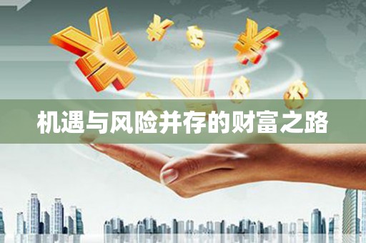 民和机遇与风险并存的财富之路