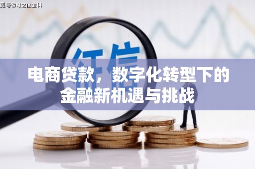 民和电商贷款，数字化转型下的金融新机遇与挑战