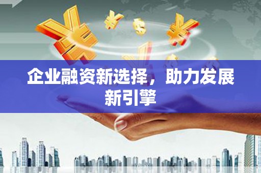 民和企业融资新选择，助力发展新引擎