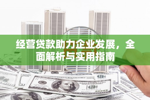 民和经营贷款助力企业发展，全面解析与实用指南