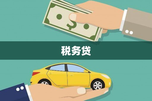 民和税务贷