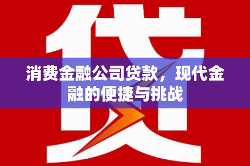 民和消费金融公司贷款，现代金融的便捷与挑战