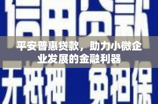 民和平安普惠贷款，助力小微企业发展的金融利器