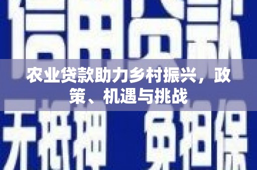 民和农业贷款助力乡村振兴，政策、机遇与挑战