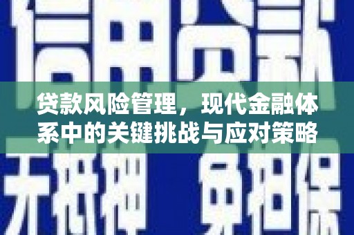 民和贷款风险管理，现代金融体系中的关键挑战与应对策略
