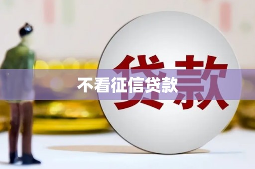 民和不看征信贷款