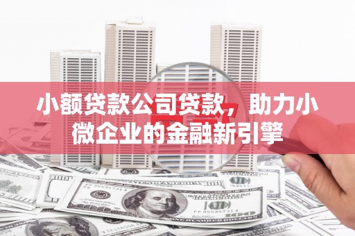 民和小额贷款公司贷款，助力小微企业的金融新引擎