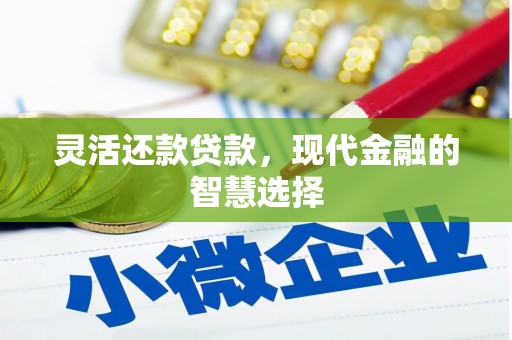 民和灵活还款贷款，现代金融的智慧选择