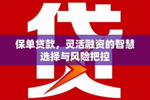 民和保单贷款，灵活融资的智慧选择与风险把控