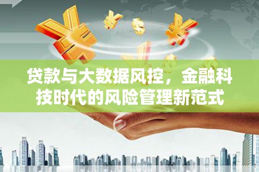 民和贷款与大数据风控，金融科技时代的风险管理新范式