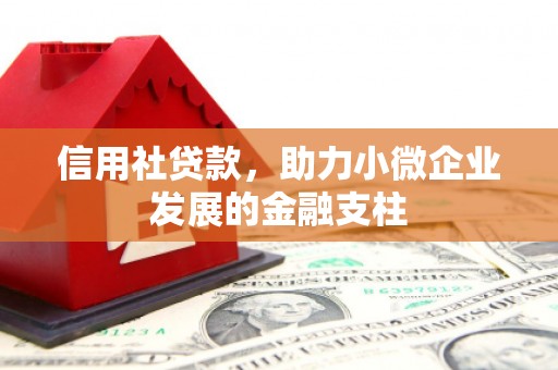 民和信用社贷款，助力小微企业发展的金融支柱
