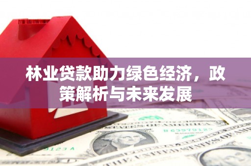 民和林业贷款助力绿色经济，政策解析与未来发展