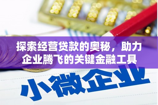 民和探索经营贷款的奥秘，助力企业腾飞的关键金融工具