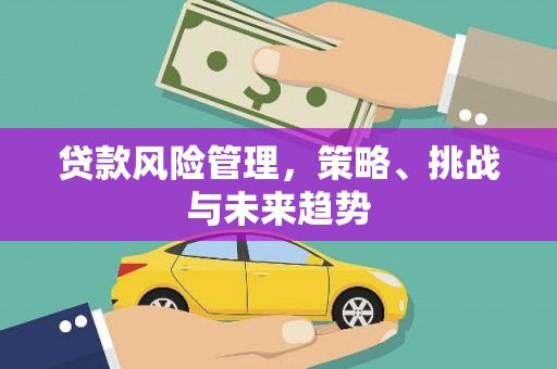 民和贷款风险管理，策略、挑战与未来趋势