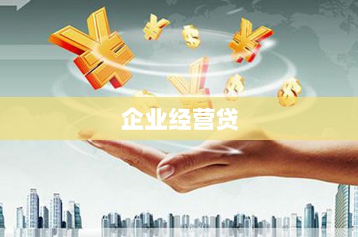 民和企业经营贷