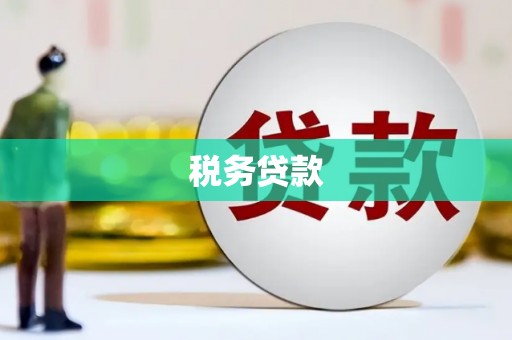 民和税务贷款