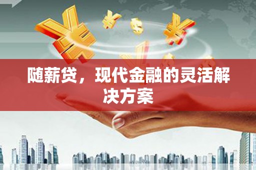 民和随薪贷，现代金融的灵活解决方案