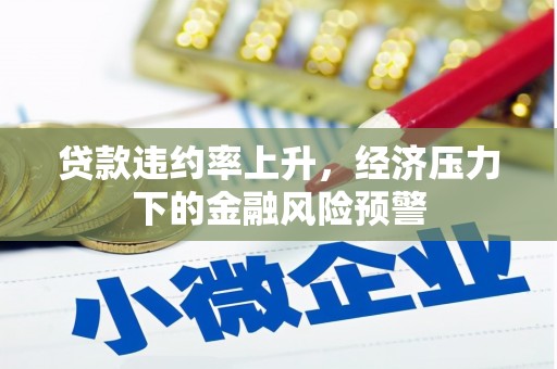 民和贷款违约率上升，经济压力下的金融风险预警