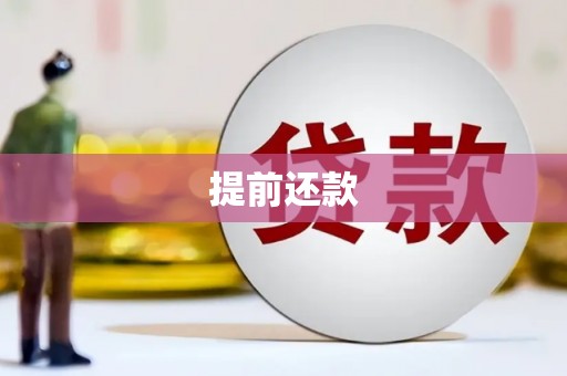 民和提前还款