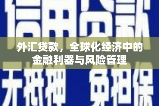 民和外汇贷款，全球化经济中的金融利器与风险管理