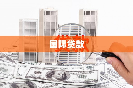民和国际贷款